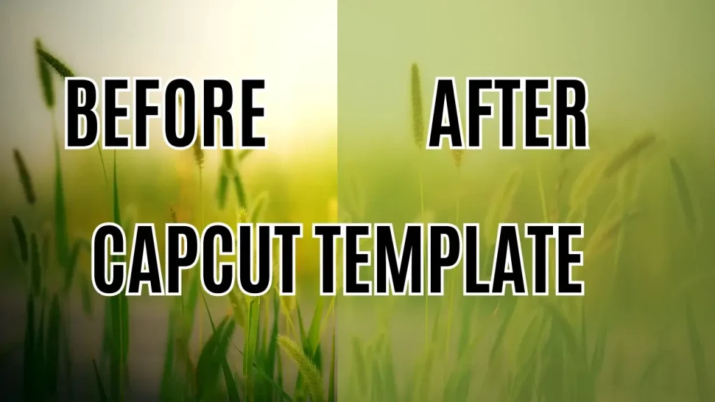 Before and after capcut template